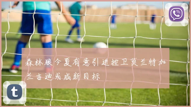 森林狼今夏有意引进控卫莫兰特加兰吉迪或成新目标